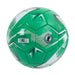 Celtic FC Turbine Skill Ball