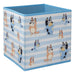 Bluey Twin Pack Storage Cube