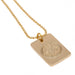 Leicester City FC Gold Plated Dog Tag & Chain - Excellent Pick
