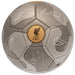 Liverpool FC Camo Sig Football - Excellent Pick