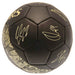 Tottenham Hotspur FC Football Signature Gold PH - Excellent Pick
